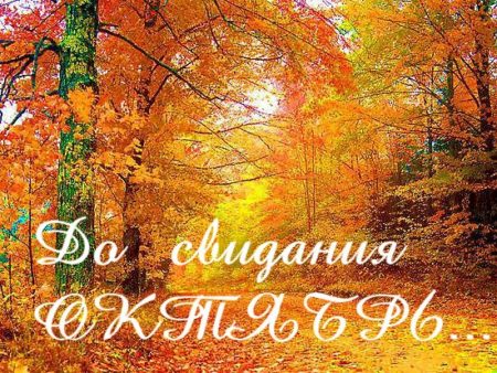 Хостинг картинок yapx.ru