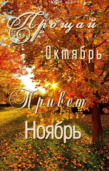 Хостинг картинок yapx.ru