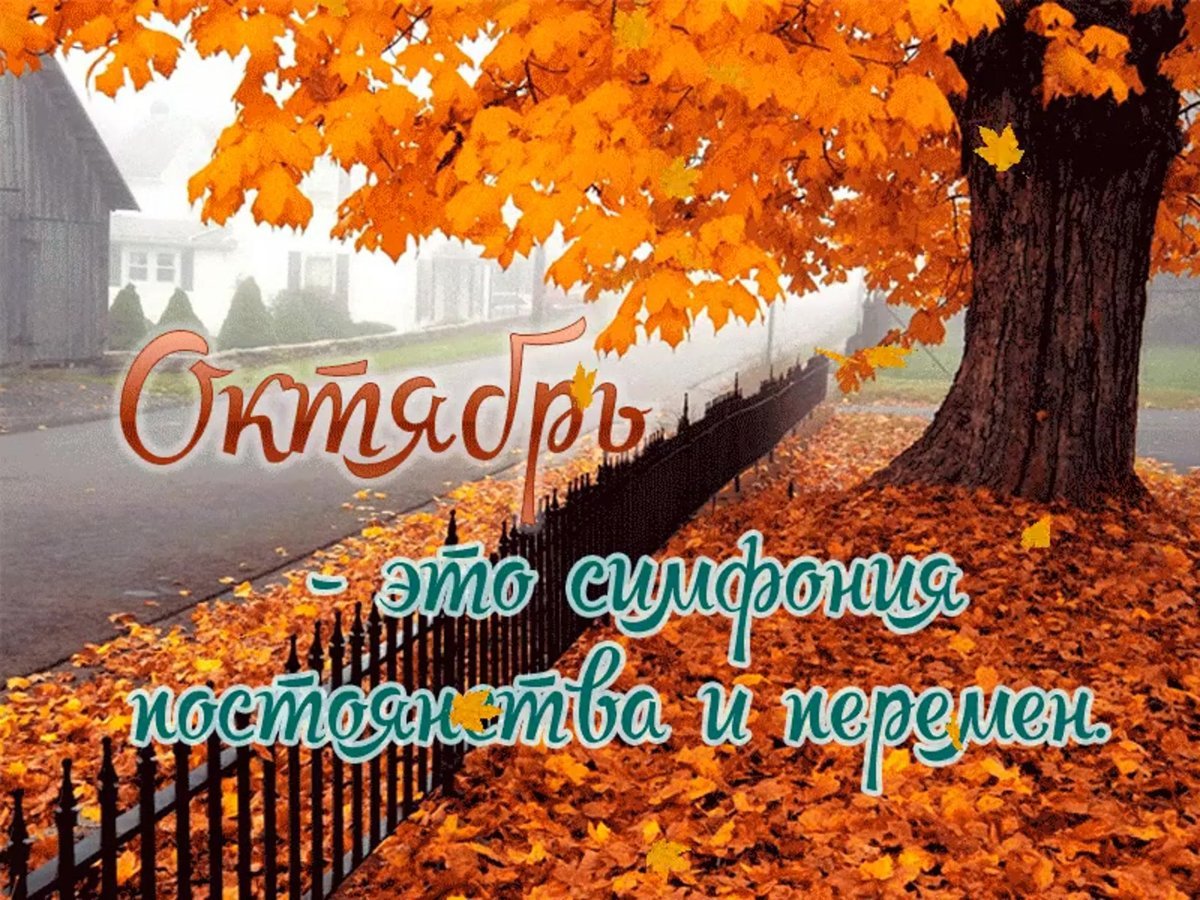 Хостинг картинок yapx.ru