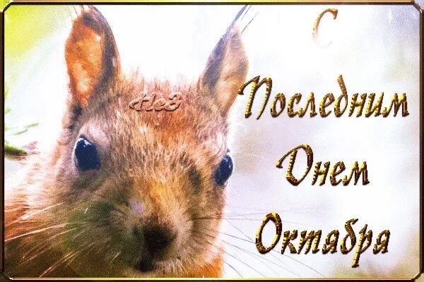 Хостинг картинок yapx.ru