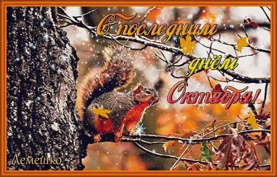 Хостинг картинок yapx.ru