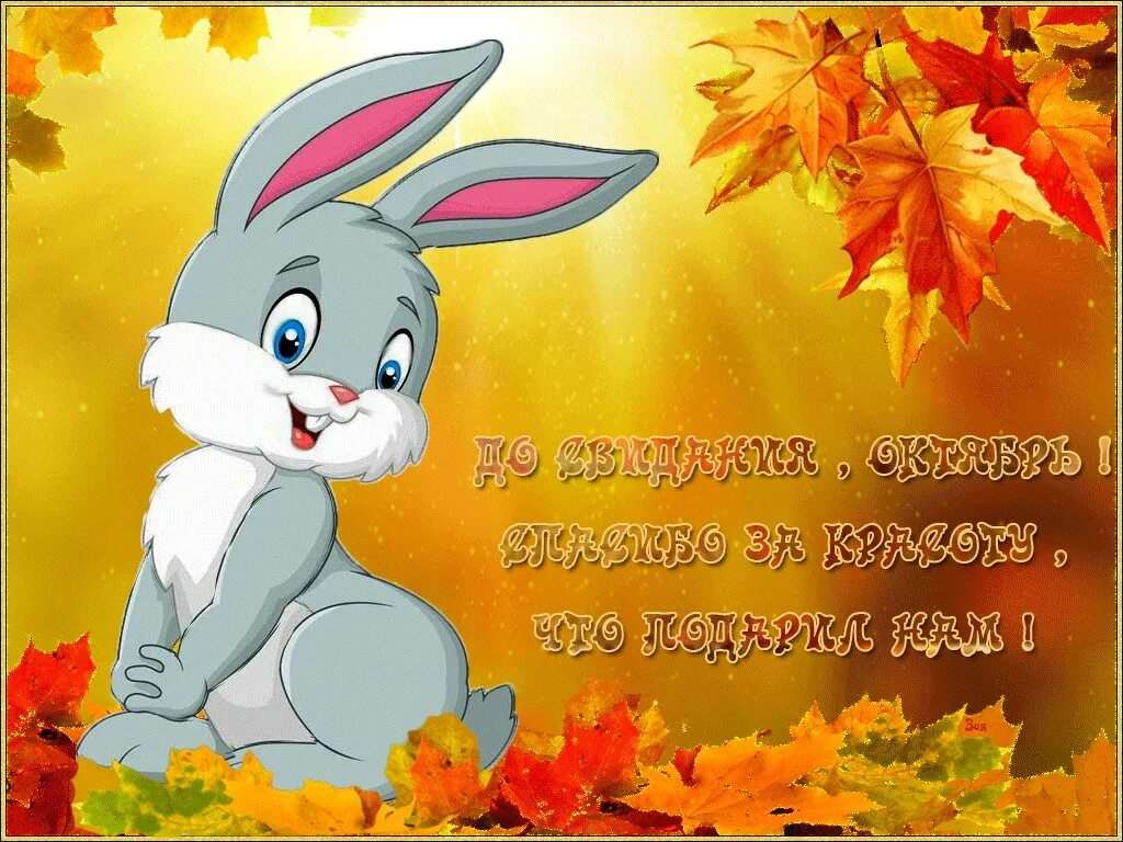 Хостинг картинок yapx.ru