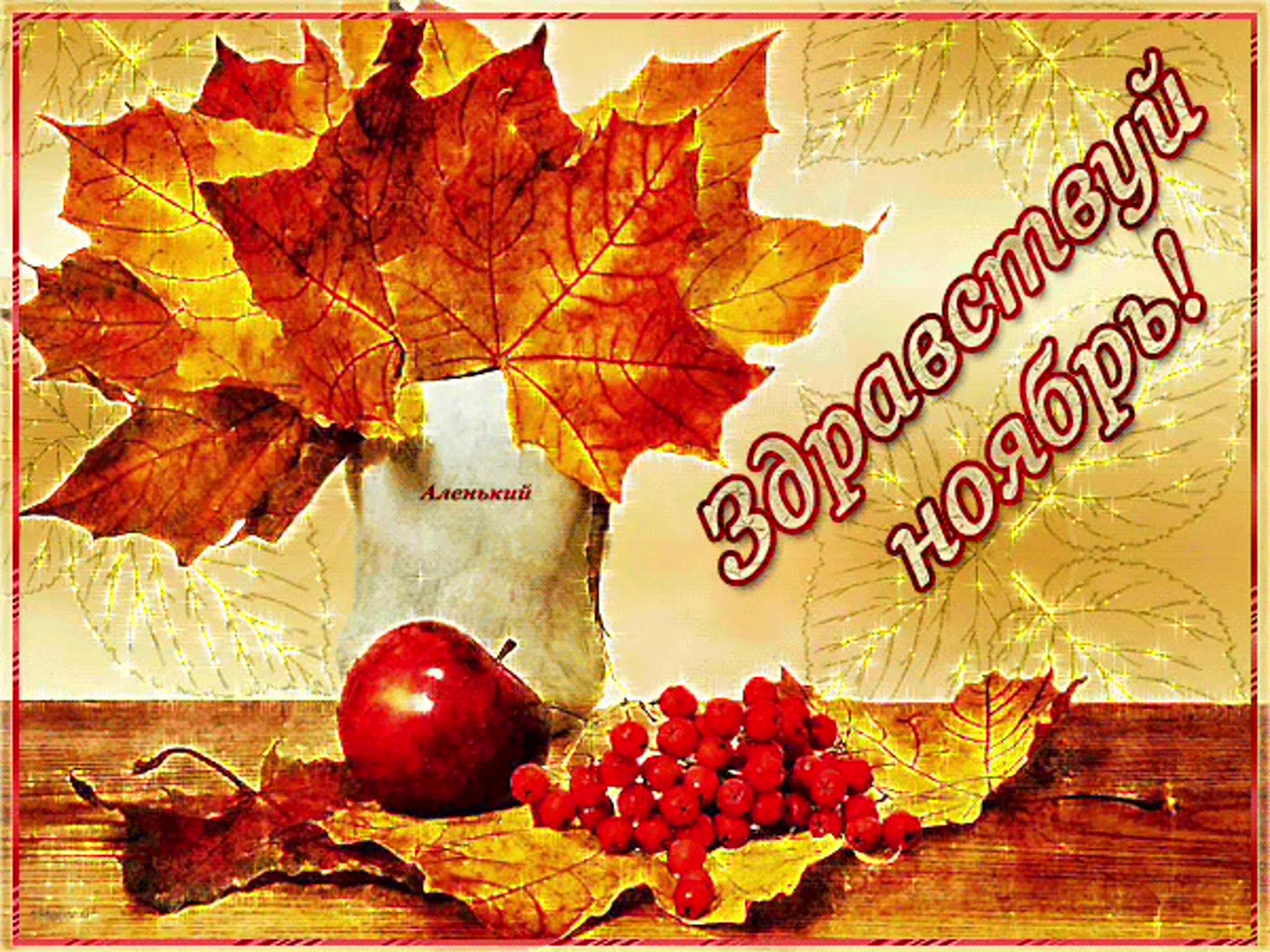 Здравствуй Ноябрь. Здравствуй Ноябрь.