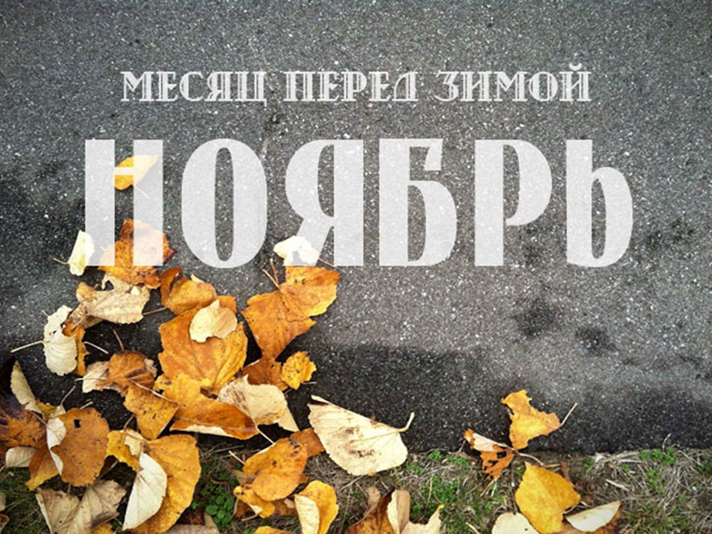 Месяц перед зимой - Ноябрь. Месяц перед зимой - Ноябрь.