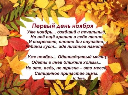 Стишок с пожеланием на первый ноябрьский день. Стишок с пожеланием на первый ноябрьский день.