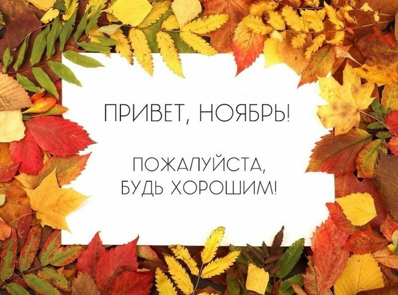 Красивые картинки с первым днём Ноября (35 фото) Красивые картинки с первым днём Ноября (35 фото)