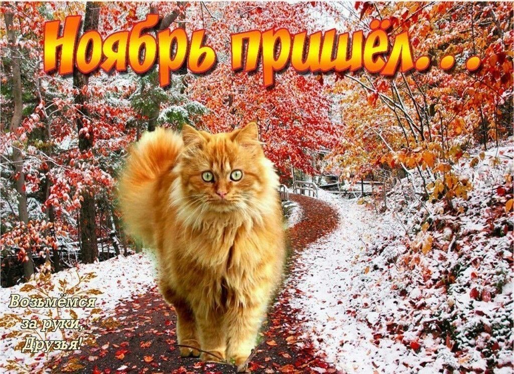 Красивые картинки с первым днём Ноября (35 фото) Красивые картинки с первым днём Ноября (35 фото)