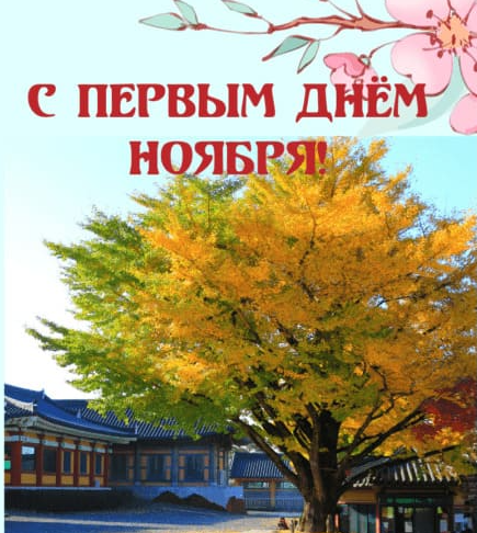 Хостинг картинок yapx.ru