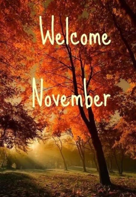 Добро пожаловать ноября - картинка на английском языке. Добро пожаловать ноября - картинка на английском языке.