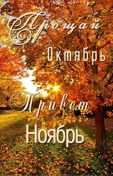 Картинка прощай октябрь, привет ноябрь. Картинка прощай октябрь, привет ноябрь.
