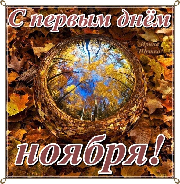 Красивые картинки с первым днём Ноября. Красивые картинки с первым днём Ноября.
