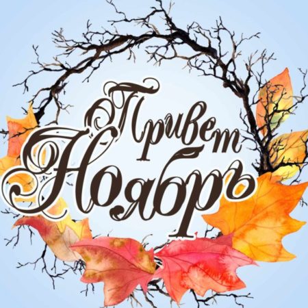 Осенний ноябрьский привет. Осенний ноябрьский привет.