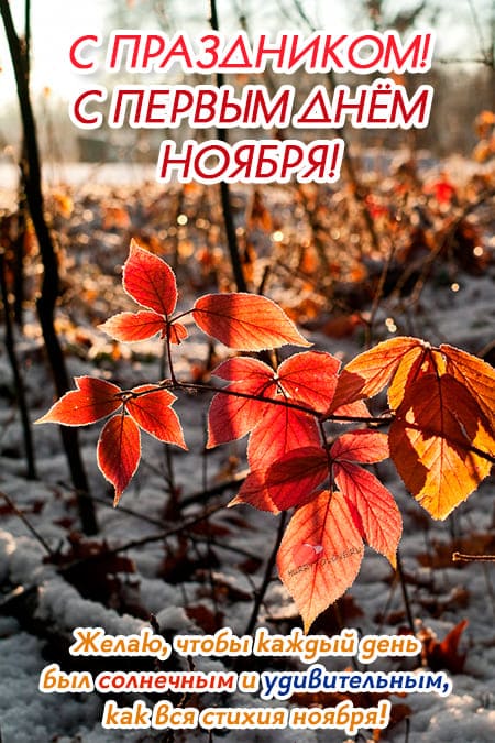 С праздником, с первым днём ноября! С праздником, с первым днём ноября!