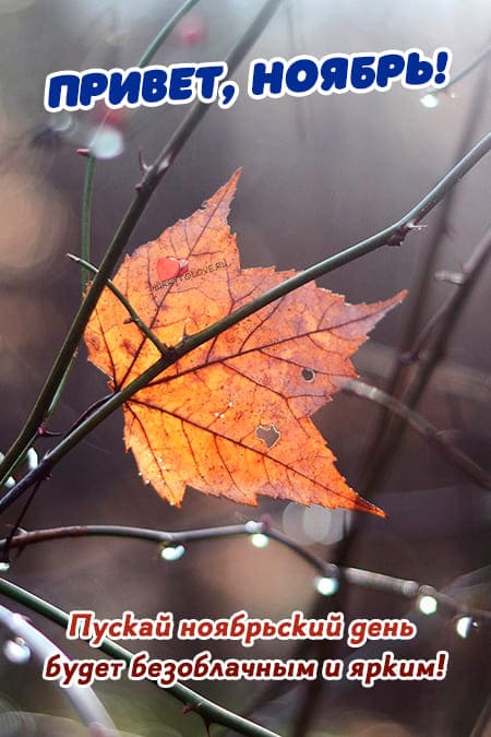 Пуская ноябрьский день будет безоблачным и ярким. Пуская ноябрьский день будет безоблачным и ярким.