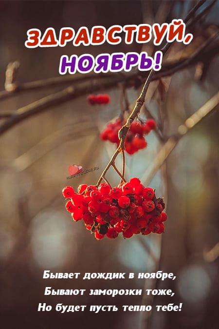 Картинка здравствуй, ноябрь! Картинка здравствуй, ноябрь!