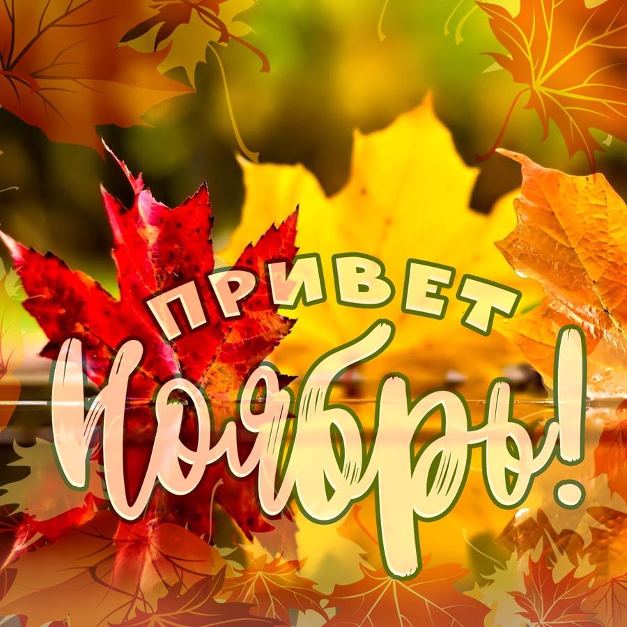 Привет, Ноябрь! Привет, Ноябрь!