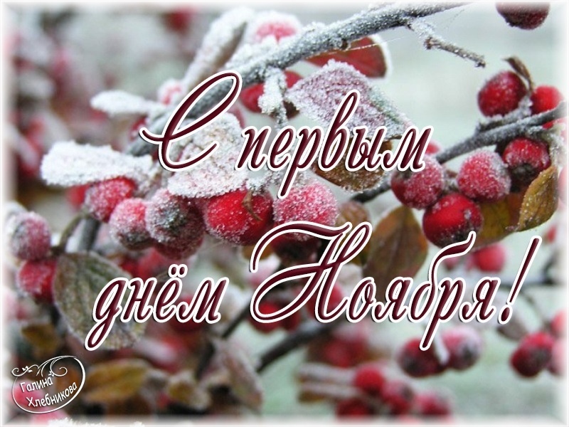 Зимние картинки с первым днём ноября. Зимние картинки с первым днём ноября.