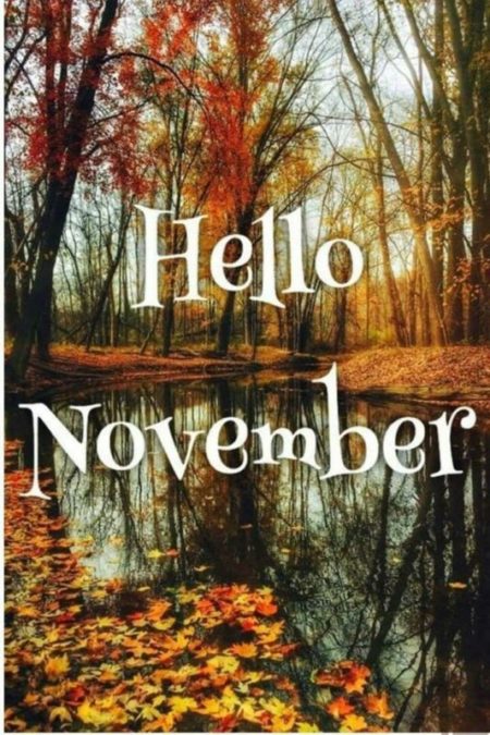 Hello November. Hello November.