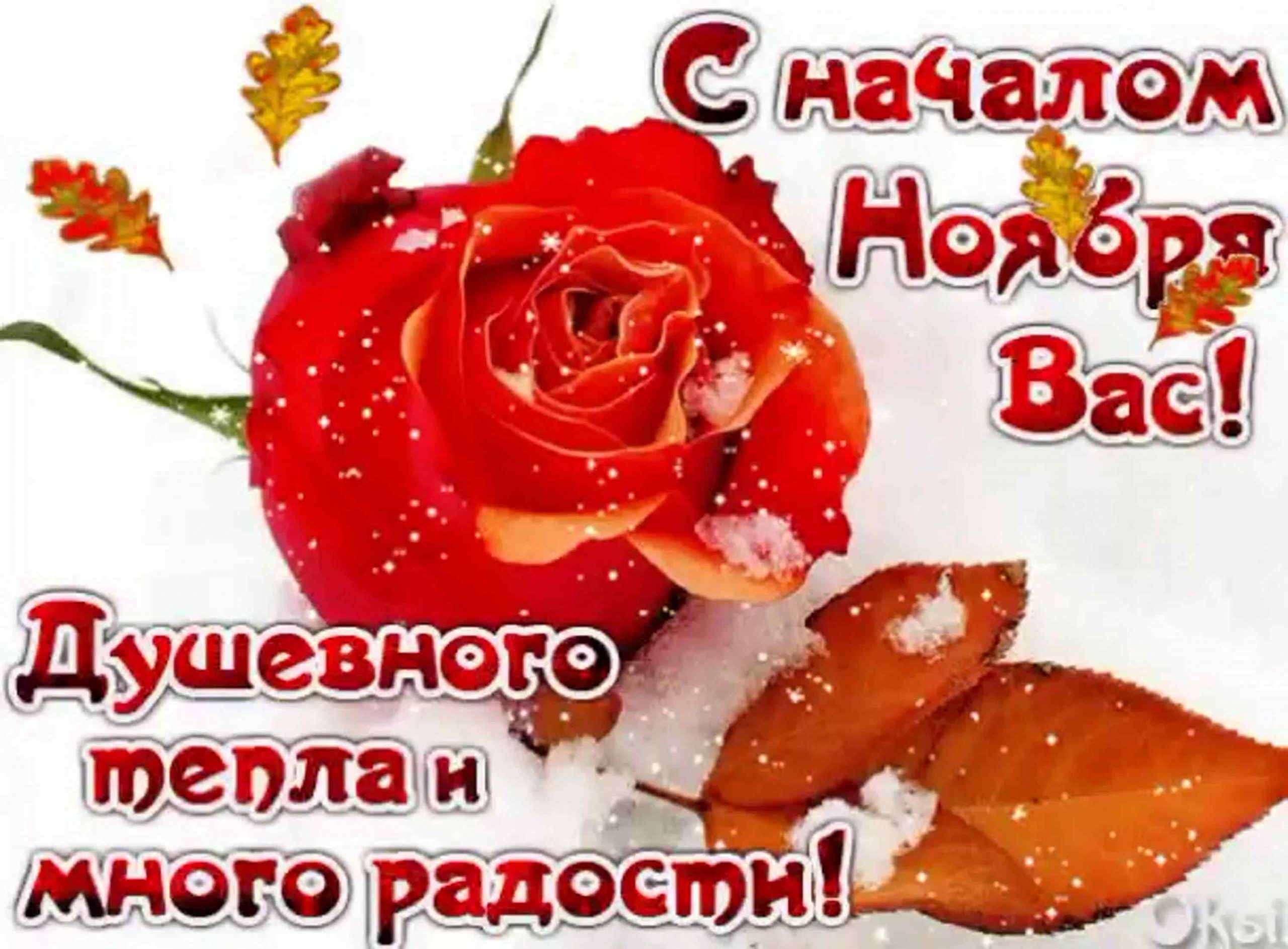 Поздравление с началом ноября. Поздравление с началом ноября.