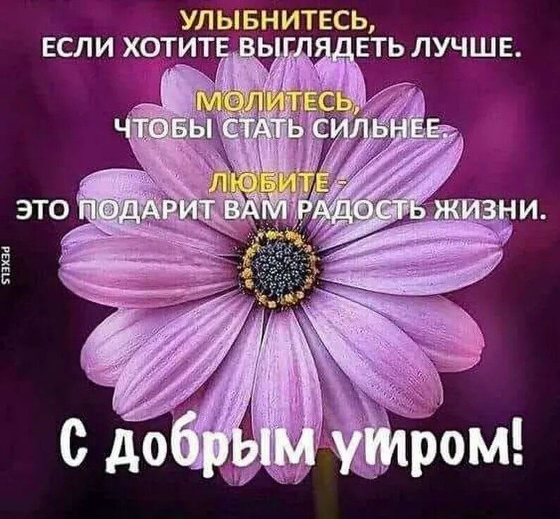 Православные картинки с добрым утром и благословенного дня (80 фото)