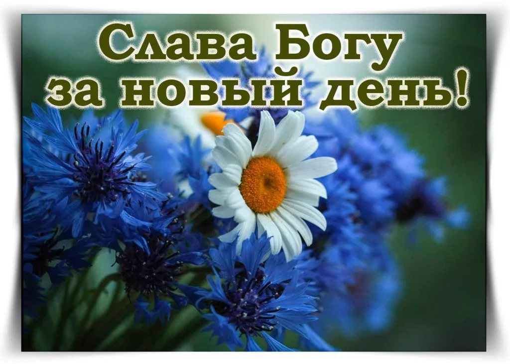 Православные картинки с добрым утром и благословенного дня (80 фото)