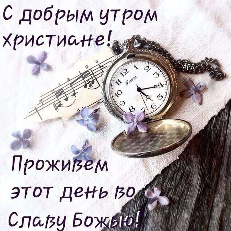 Хостинг картинок yapx.ru