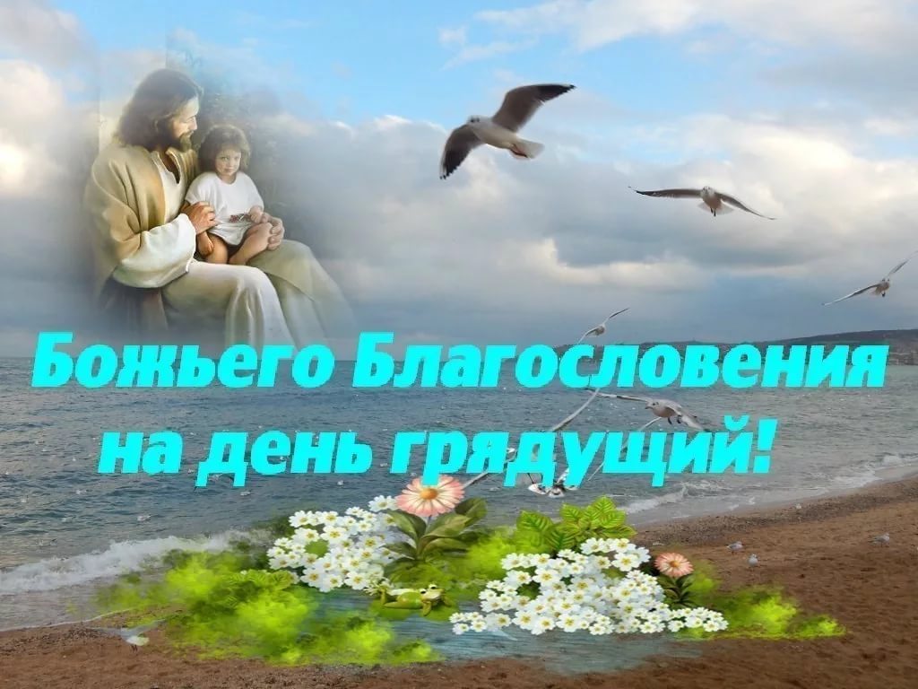 Хостинг картинок yapx.ru