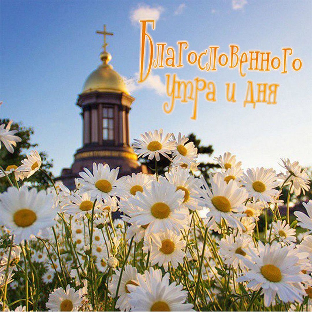 Хостинг картинок yapx.ru