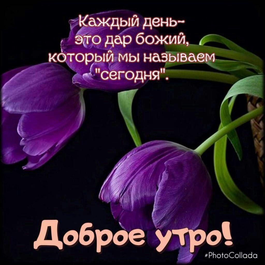 Хостинг картинок yapx.ru