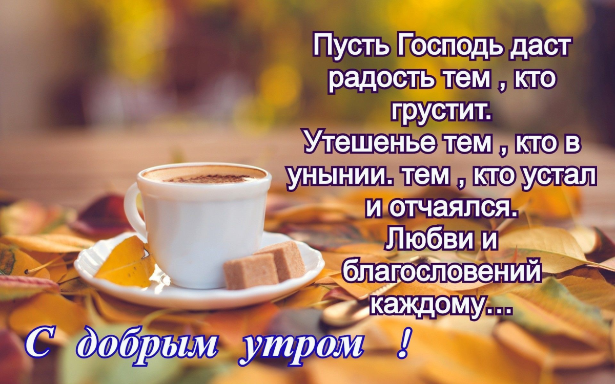 Хостинг картинок yapx.ru