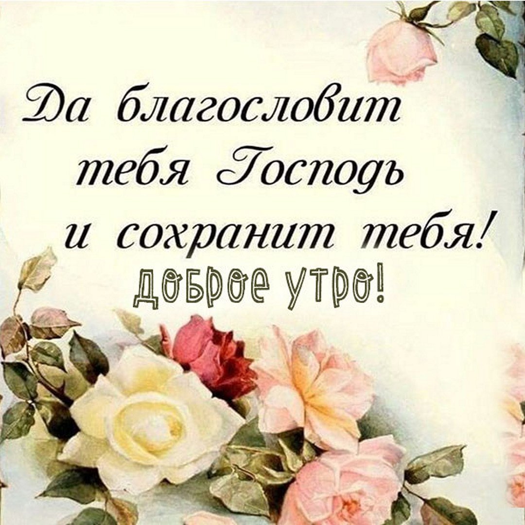 Хостинг картинок yapx.ru