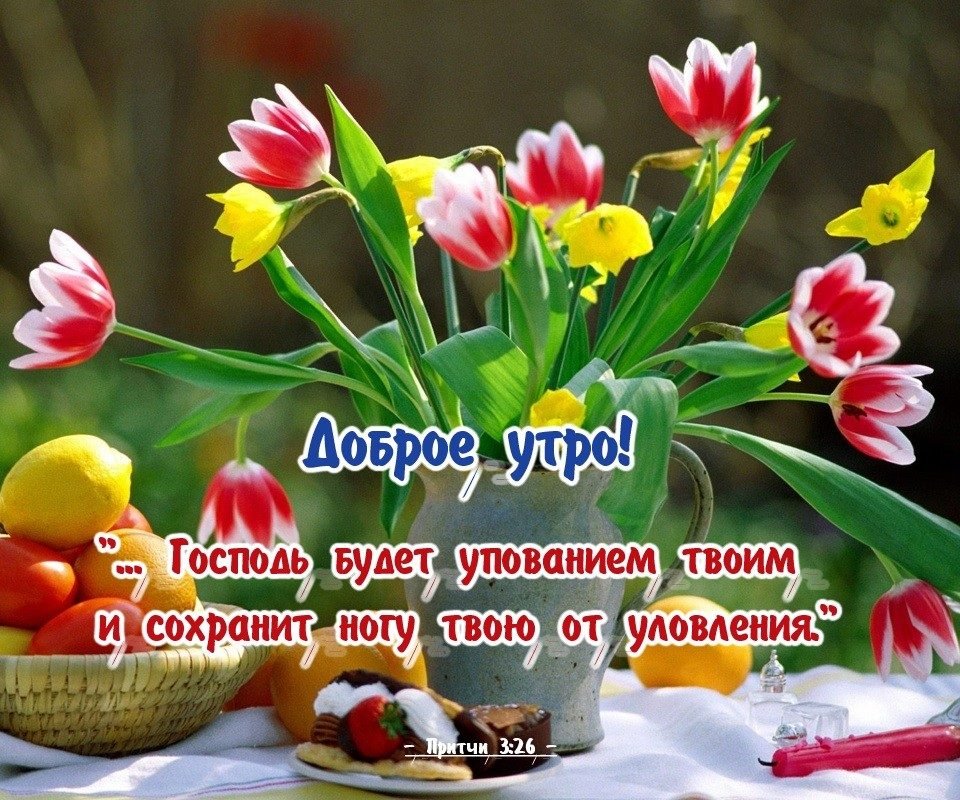 Хостинг картинок yapx.ru