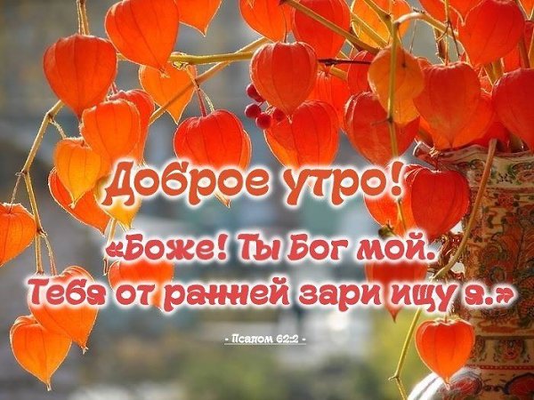 Хостинг картинок yapx.ru