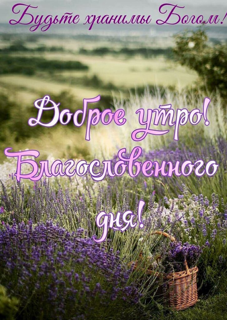 Хостинг картинок yapx.ru