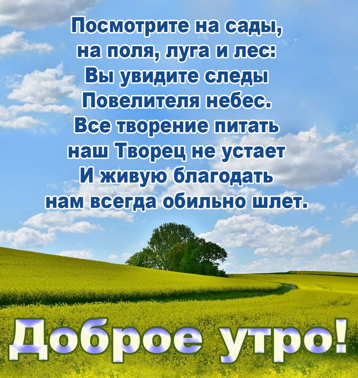 Хостинг картинок yapx.ru