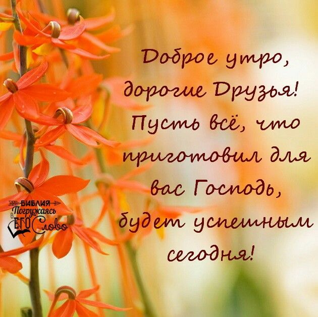 Хостинг картинок yapx.ru