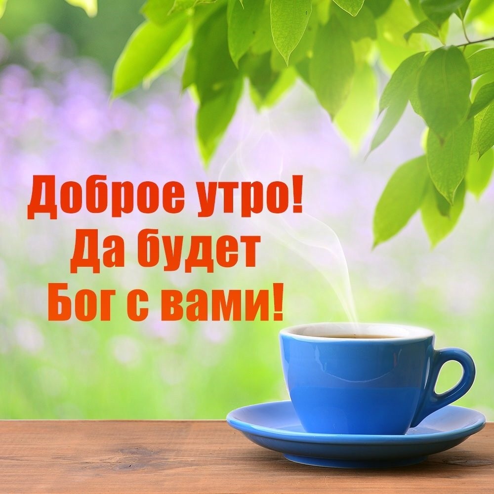 Хостинг картинок yapx.ru