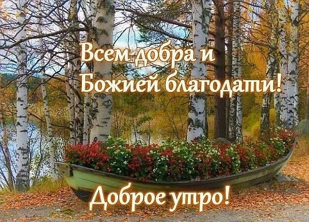 Хостинг картинок yapx.ru