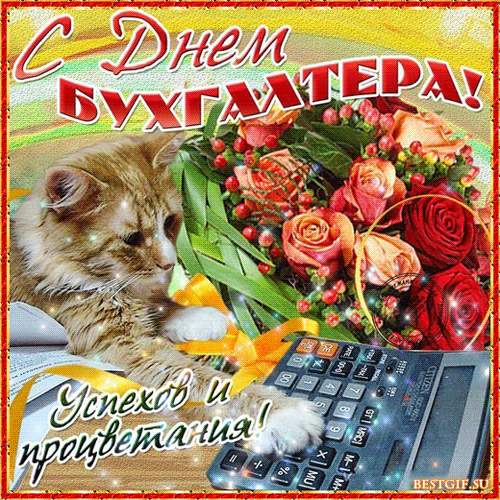 Подборка прикольных анимационных картинок с днем бухгалтера.