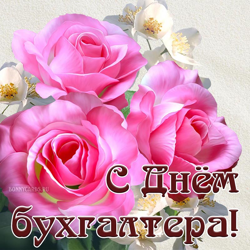 Хостинг картинок yapx.ru