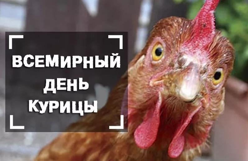 Хостинг картинок yapx.ru