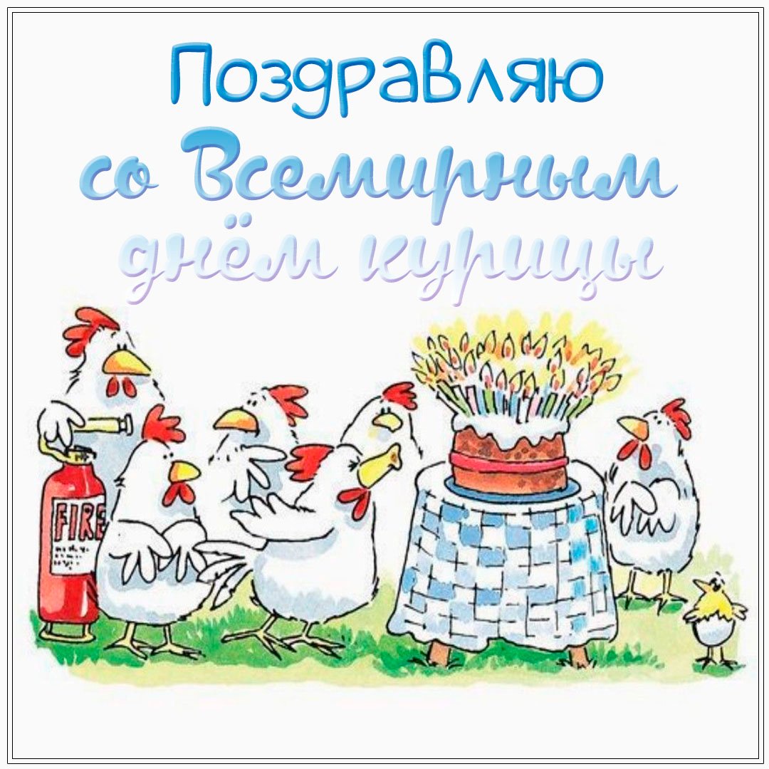 Смешные открытки с днём Курицы 2023 - 2024 Смешные открытки с днём Курицы 2023 - 2024