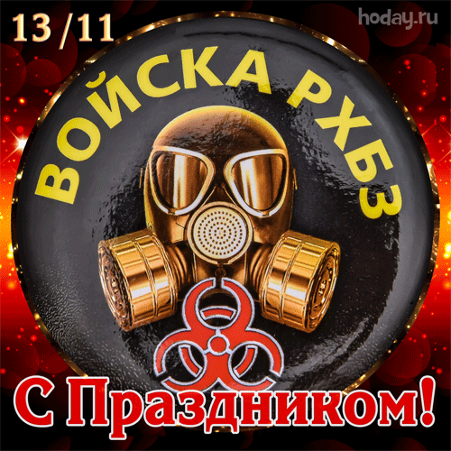 13 ноября С Днём Войск радиационной, химической и биологической защиты