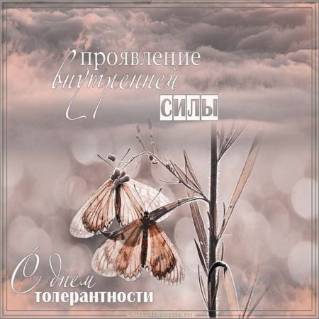 Хостинг картинок yapx.ru