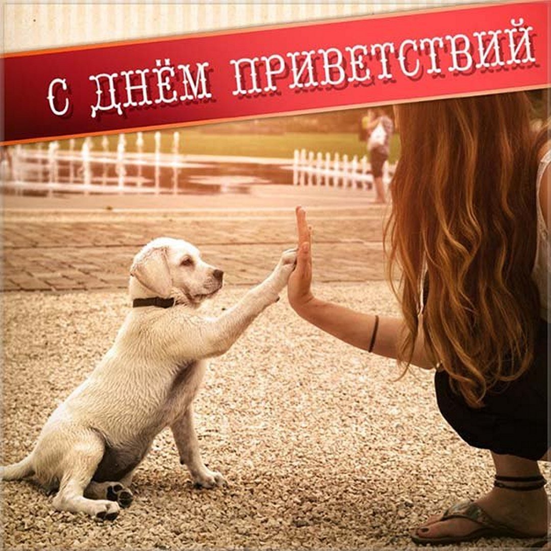 Поздравления с днем приветствий - лучшие открытки. Поздравления с днем приветствий - лучшие открытки.