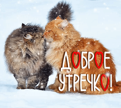 Гифки и картинки доброго зимнего утра и хорошего дня. Гифки и картинки доброго зимнего утра и хорошего дня.