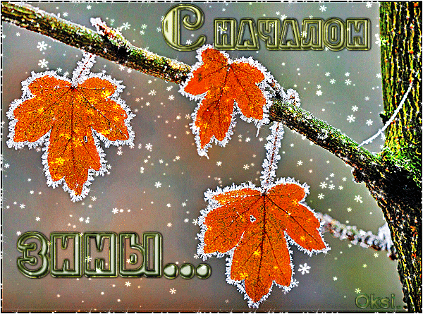 Красивые картинки с Первым днем зимы 2023 (60 фото).