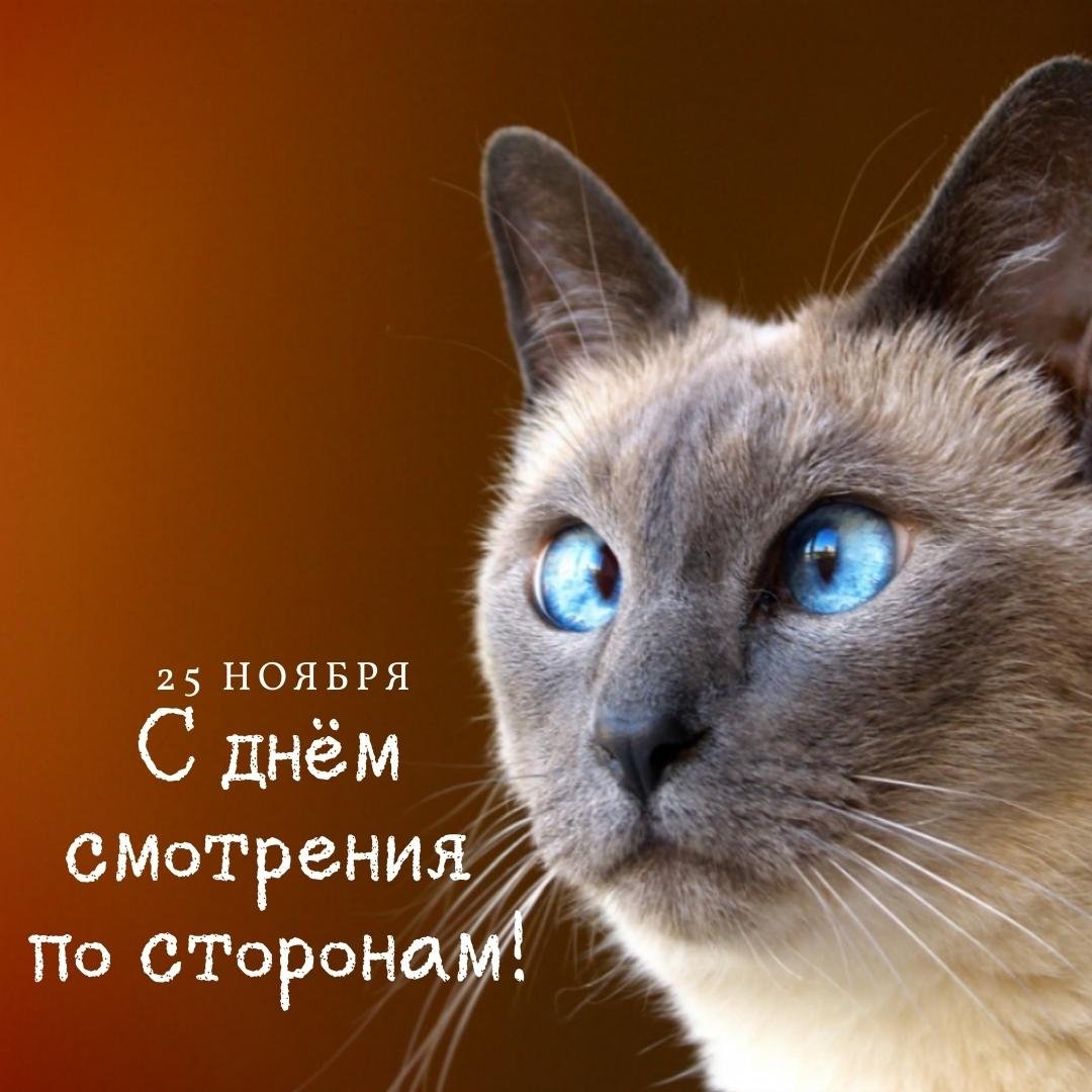 25 Ноября 2023 - 2024 Поздравления с днём Смотрения по сторонам 25 Ноября 2023 - 2024 Поздравления с днём Смотрения по сторонам