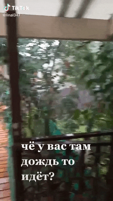 Дачная анимация во время ливня с вопросом "А что у вас дождь то идёт?!".