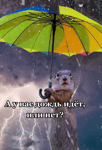 Крутые мигающие гифки "а чё у вас там дождь идёт?" с сусликом под зонтом и проливным дождём.